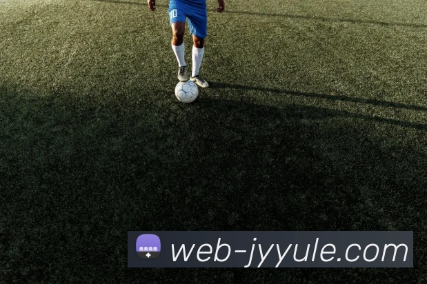 九游体育网站APP 封面图